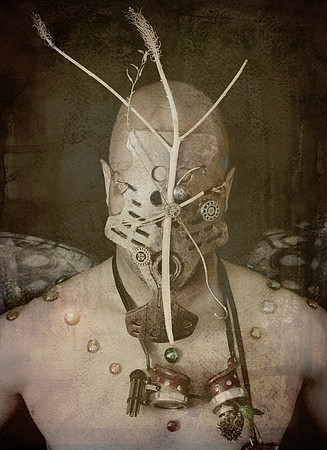 Masked Fae 2
