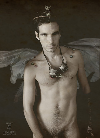 Tenebrae's Faeries, 3