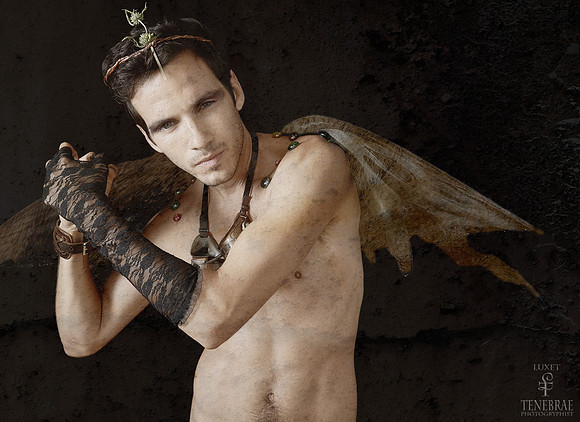 Tenebrae's Faeries, 1